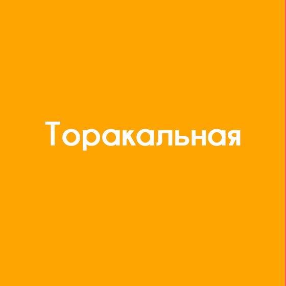 Торакальная